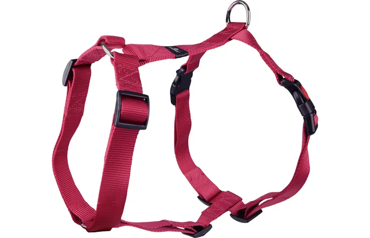 alimentation pour chien à Saint-Jean-de-Thouars