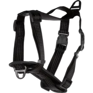 alimentation pour chien à Saint-Jean-de-Thouars