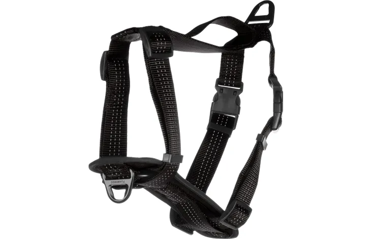 alimentation pour chien à Saint-Jean-de-Thouars