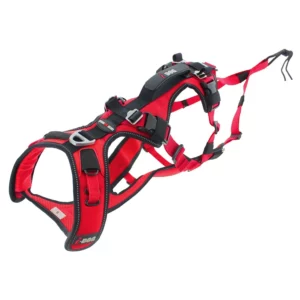 animalerie à Thouars