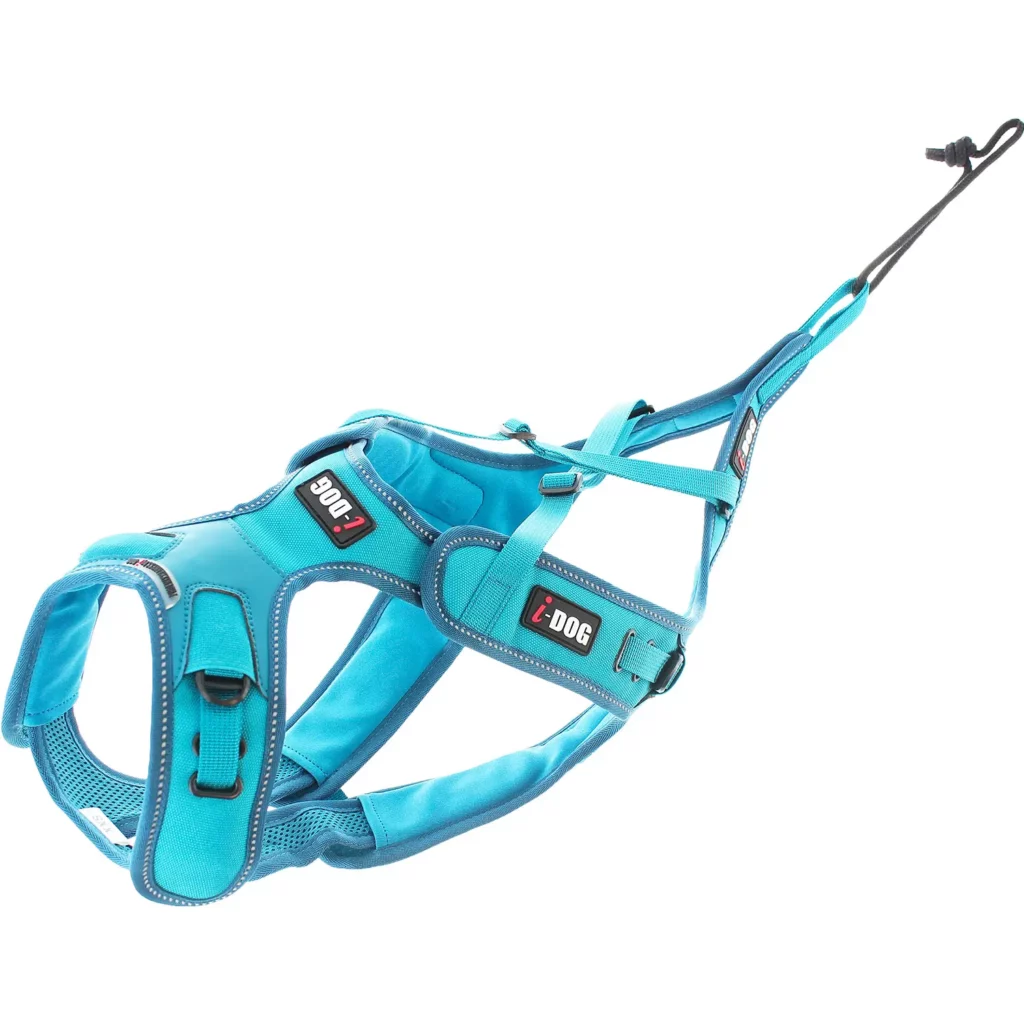 alimentation pour chat à Thouars