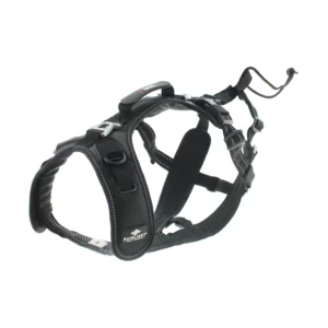 alimentation pour chien à Saint-Jean-de-Thouars