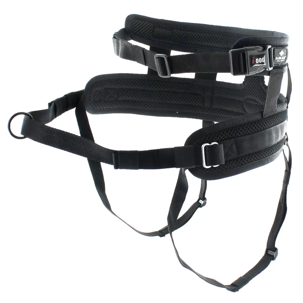 animalerie à Saint-Jean-de-Thouars