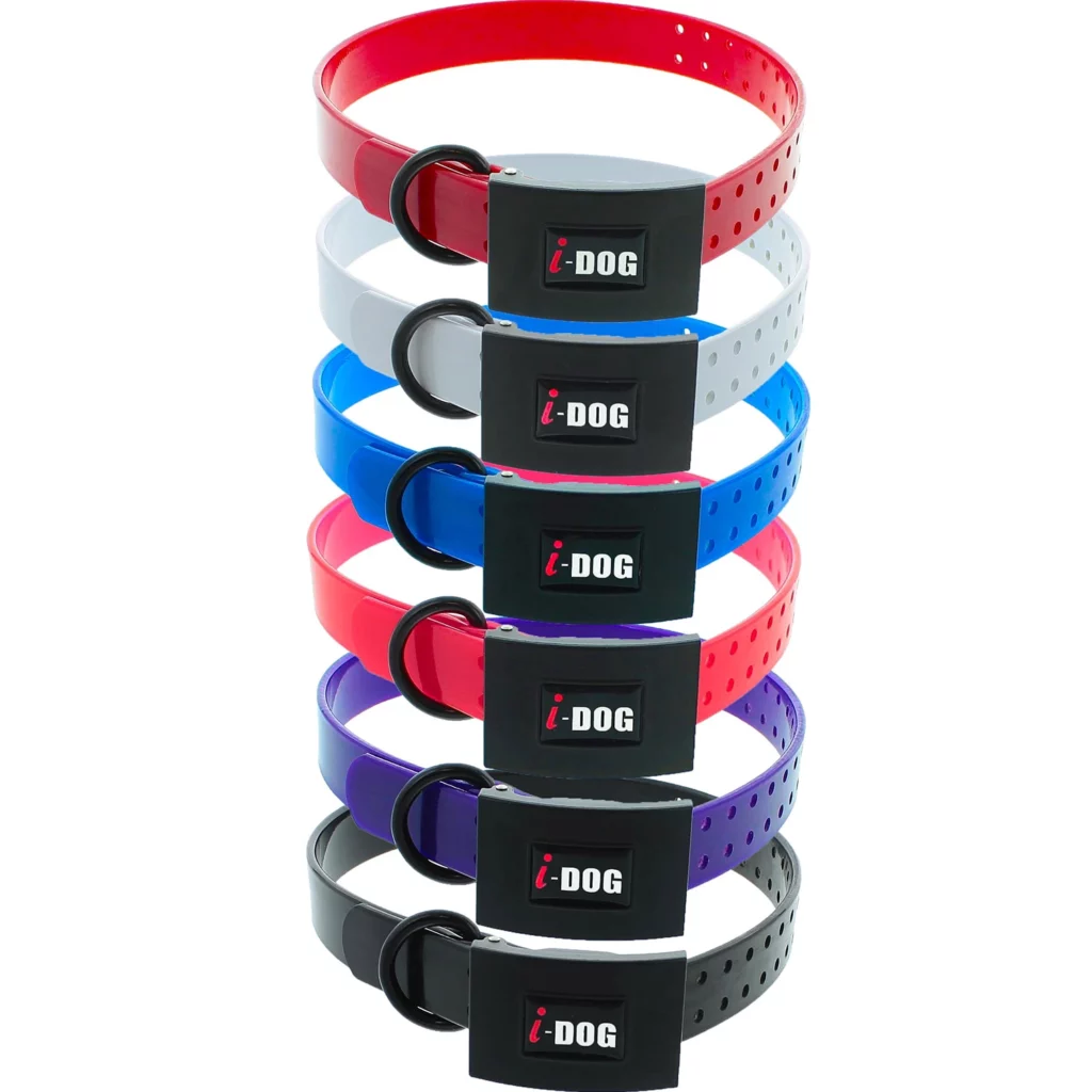 alimentation pour chien à Saint-Jean-de-Thouars