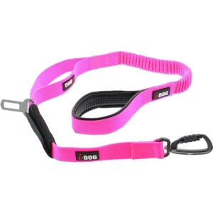 alimentation pour chien à Thouars